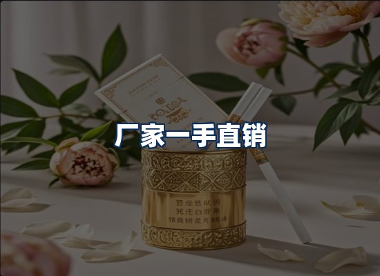 专业团队办公环境